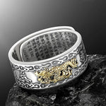 Charms Ring Feng Shui Amulet Wealth & Luck Open Adjustable Ring - soqexpress